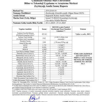 analiz raporu 2025 2026